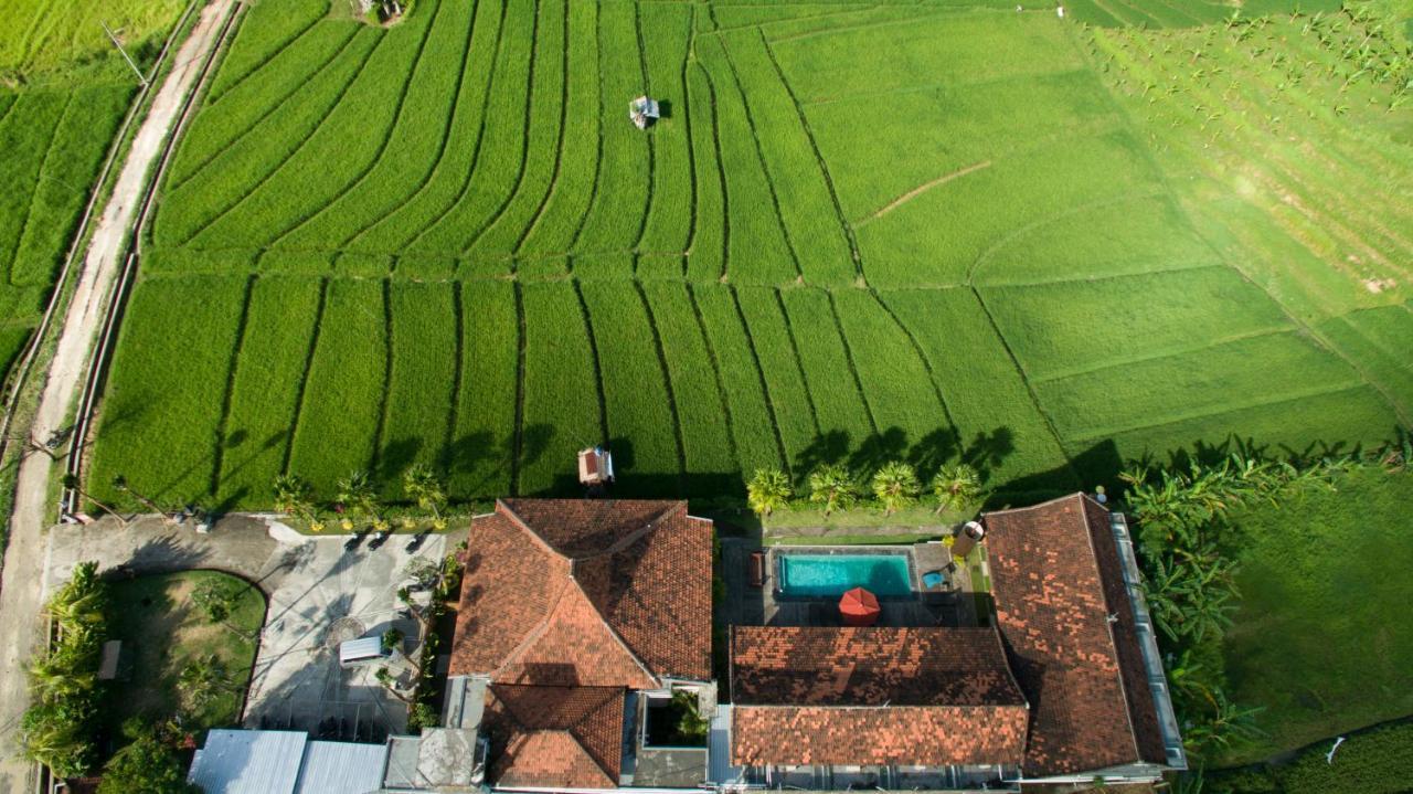 Kampung Canggu Εξωτερικό φωτογραφία